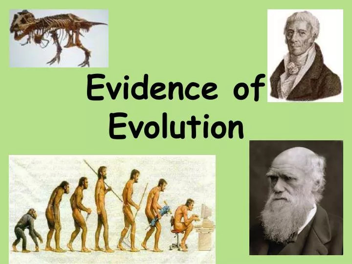 evidence of evolution