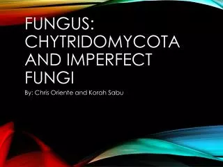 Fungus: Chytridomycota and Imperfect Fungi