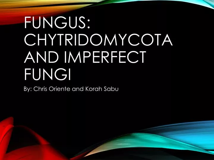 fungus chytridomycota and imperfect fungi