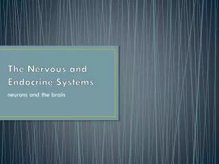 PPT - The Endocrine, Nervous, and Reproductive Systems PowerPoint ...