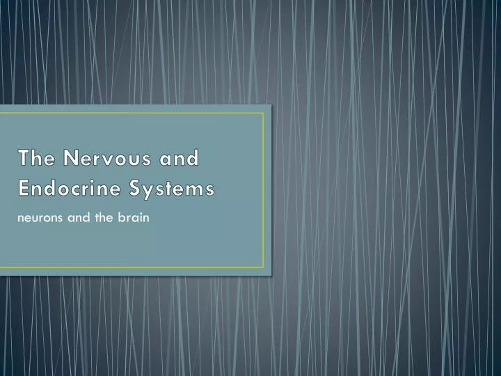 the nervous and endocrine systems