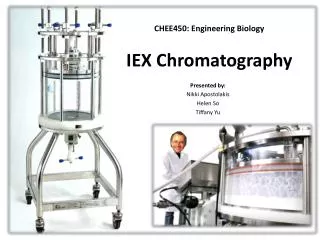 IEX Chromatography