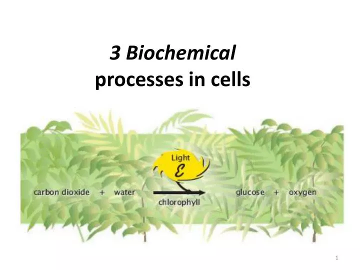 3 biochemical processes in cells