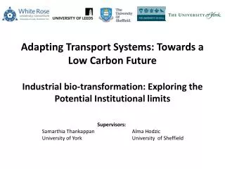 Adapting Transport Systems: Towards a Low Carbon Future