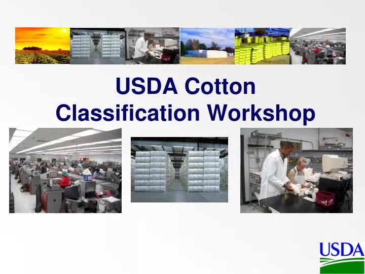 usda cotton classification workshop