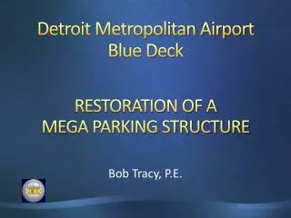 Detroit Metropolitan Airport Blue Deck