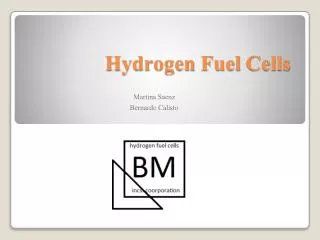 Hydrogen Fuel C ells
