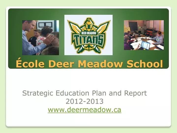 cole deer meadow school