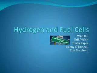 Hydrogen and Fuel Cells