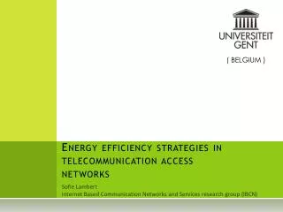 Energy efficiency strategies in telecommunication access networks