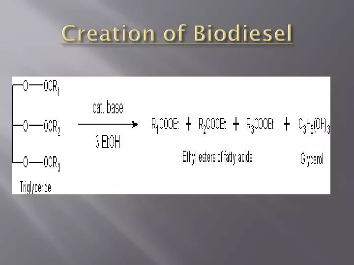 creation of biodiesel