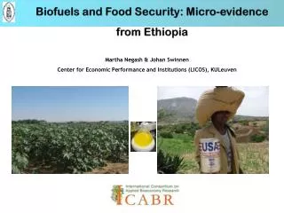 Biofuels and Food Security: Micro-evidence from Ethiopia