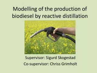 Modelling of the production of biodiesel by reactive distillation