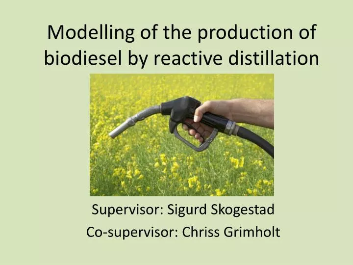 modelling of the production of biodiesel by reactive distillation