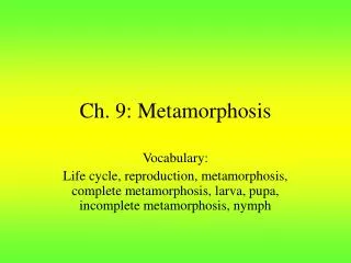 Ch. 9: Metamorphosis