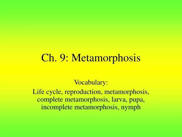 ch 9 metamorphosis