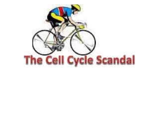 The Cell Cycle Scandal
