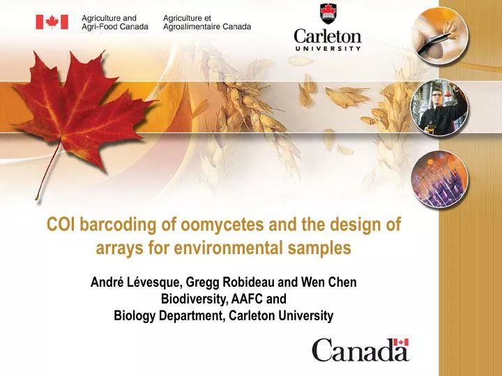 coi barcoding of oomycetes and the design of arrays for environmental samples