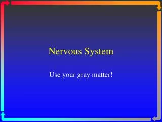 Nervous System