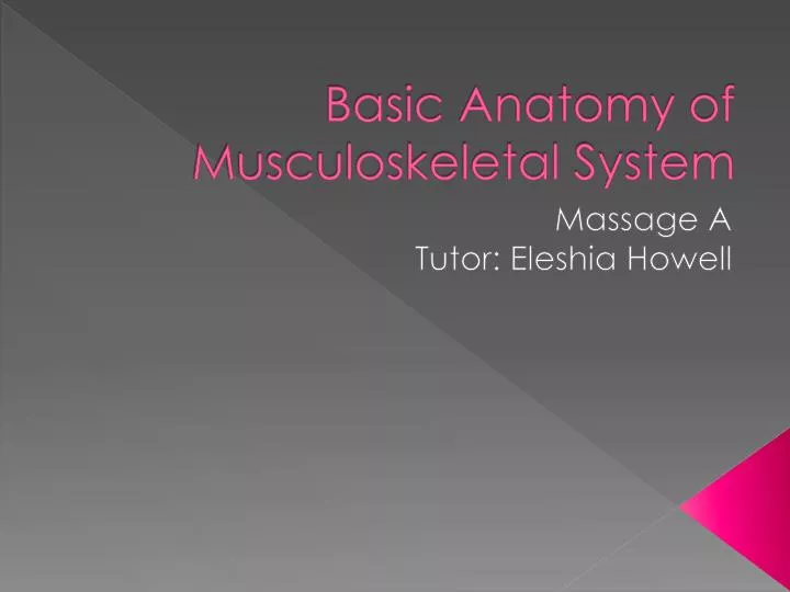 basic anatomy of musculoskeletal system