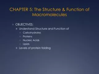 CHAPTER 5: The Structure &amp; Function of Macromolecules