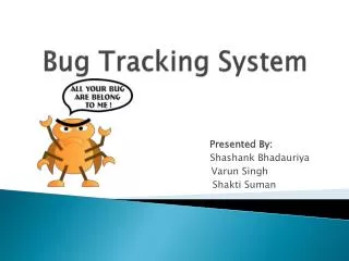 Bug Tracking System