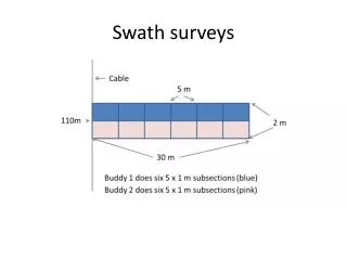 Swath surveys