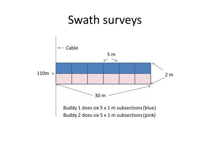 swath surveys