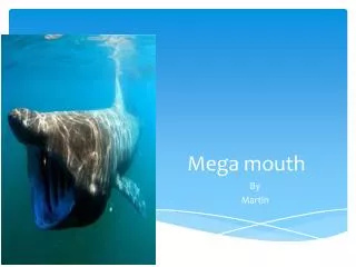 Mega mouth