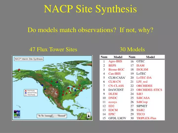 nacp site synthesis