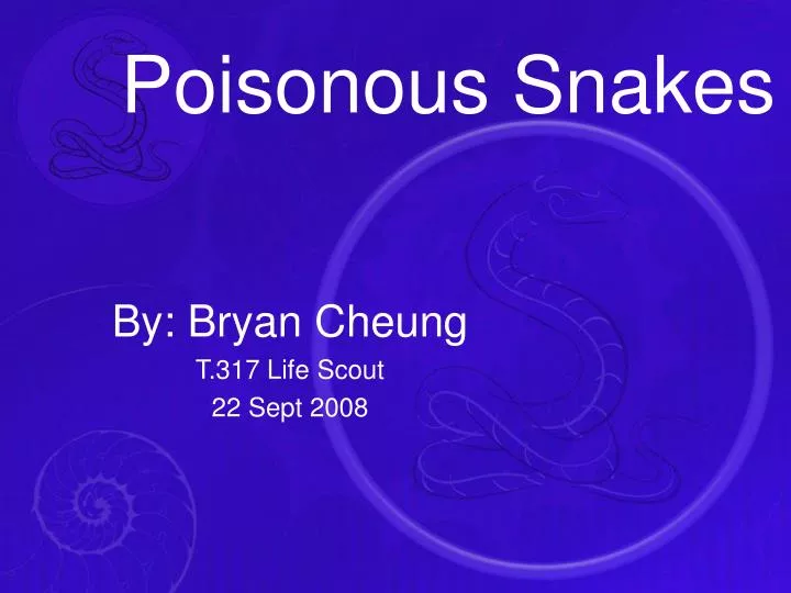 poisonous snakes