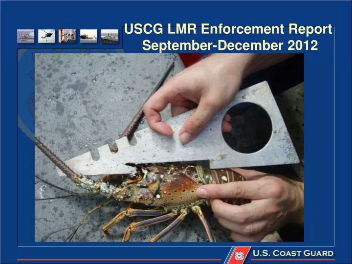uscg lmr enforcement report september december 2012