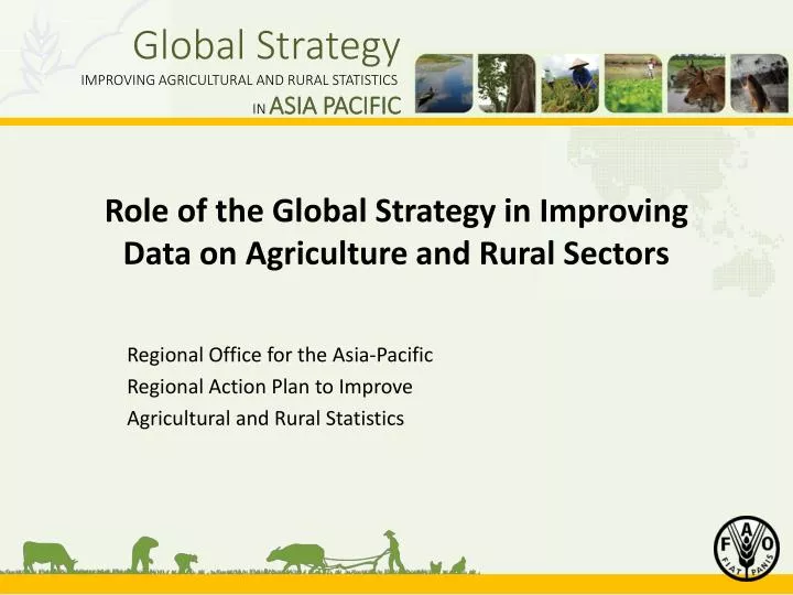 role of the global strategy in improving data on agriculture and rural sectors