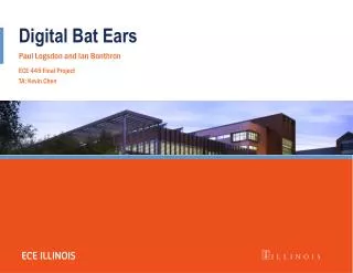 Digital Bat Ears