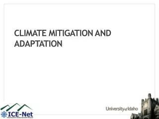 Climate mitigation and adaptation