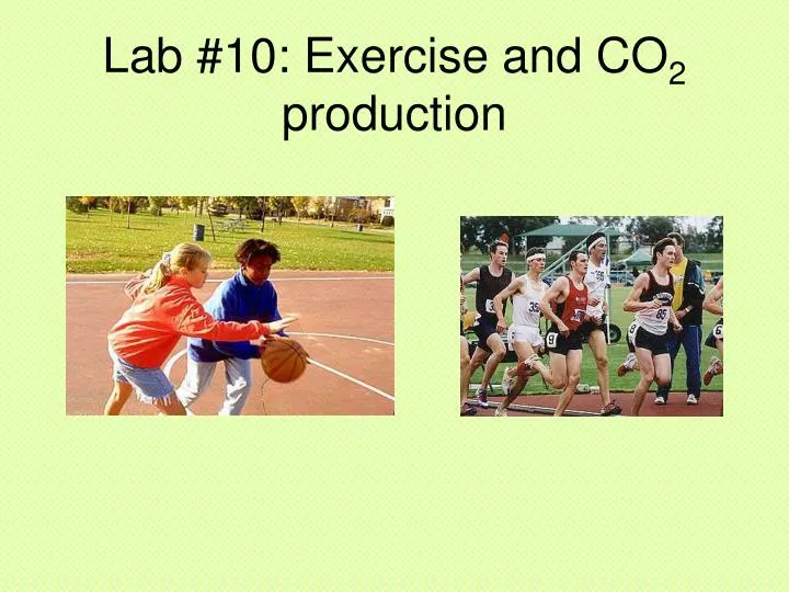 lab 10 exercise and co 2 production