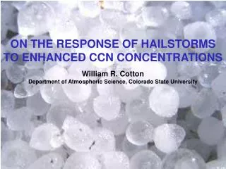 ON THE RESPONSE OF HAILSTORMS TO ENHANCED CCN CONCENTRATIONS William R. Cotton