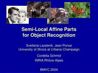 Semi-Local Affine Parts for Object Recognition