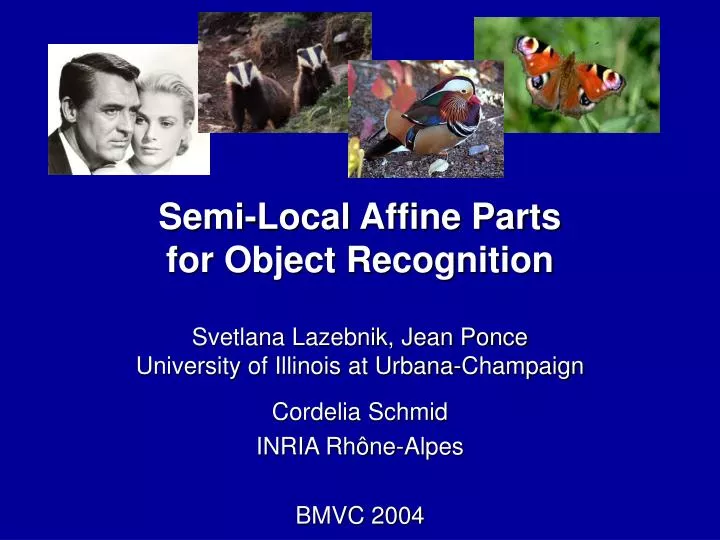 semi local affine parts for object recognition