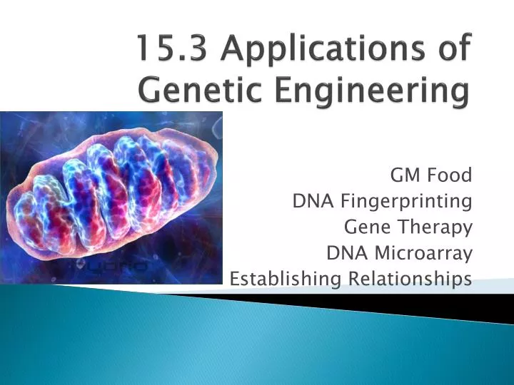 15 3 applications of genetic engineering