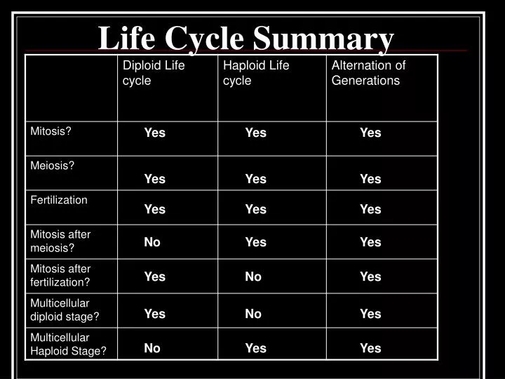 life cycle summary