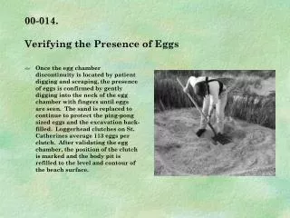 00-014. Verifying the Presence of Eggs