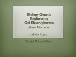 Biology Genetic Engineering Gel Electrophoresis