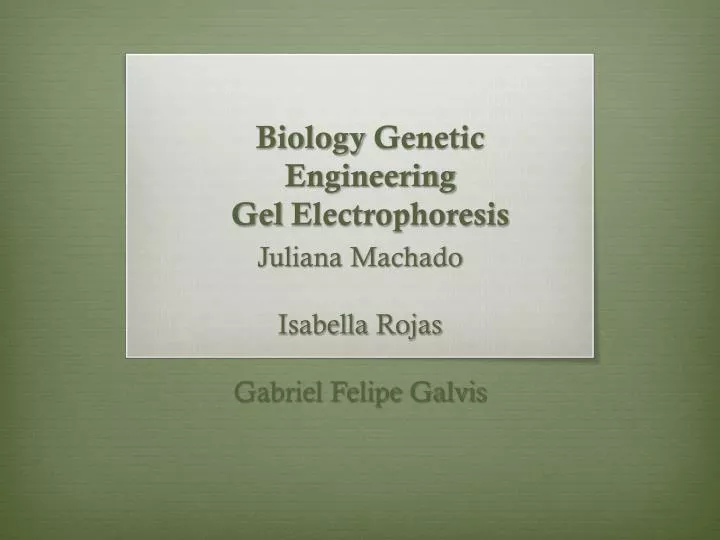 biology genetic engineering gel electrophoresis