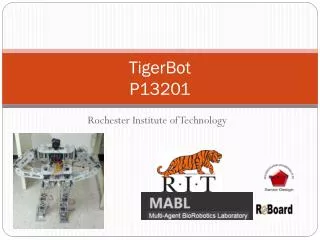 TigerBot P13201