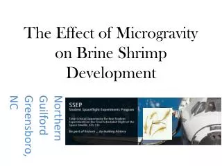 The Effect of Microgravity on Brine Shrimp Development