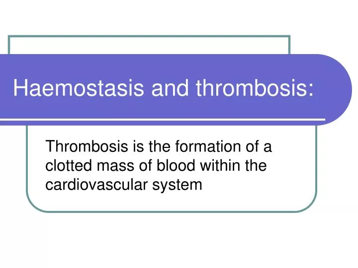A) The thrombus model, a fresh chicken blood clot, was cut into