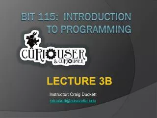 BIT 115: Introduction To Programming