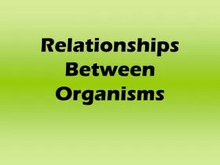 relationships between organisms