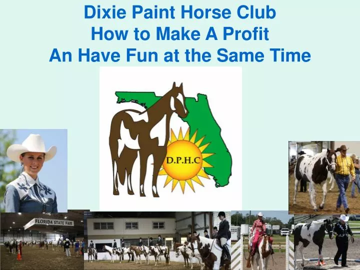 dixie paint horse club how to make a profit an have fun at the same time